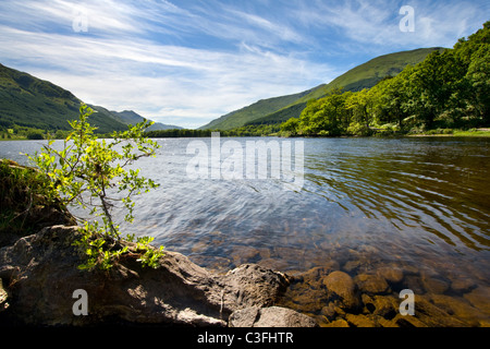 Loch Voil in Balquhidder Glen, Teil des Loch Lomond und Trossachs National Park central Scotland am schönen Sommertag Stockfoto