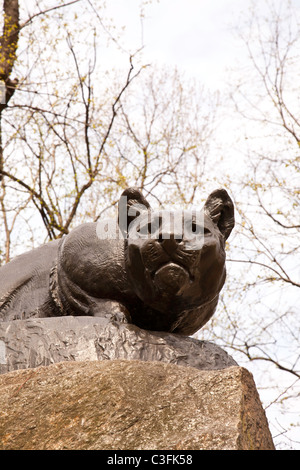 "Noch Hunt" Cougar Skulptur, Ost fahren, "Cat Hill', Central Park, New York Stockfoto