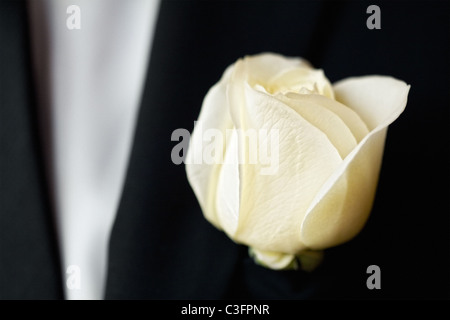 Weiße Rose auf dem Anzug des Bräutigams Stockfoto
