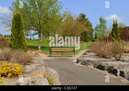 Sitzbank aus Holz im Garten Stockfoto