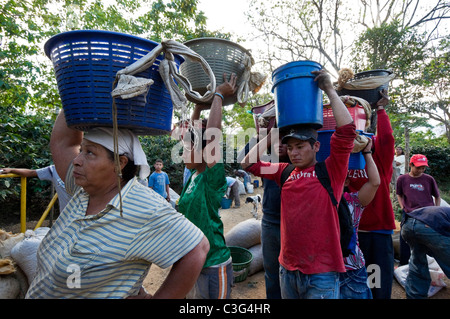 Tägliche Arbeiter pflücken Kaffee in den Hügeln von El Rodeo Zentraltal Costa Rica Stockfoto