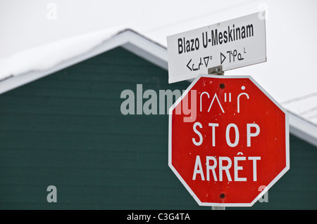 Stop-Schild in Französisch, Englisch und Cree Sprachen in der Cree Mistissini nördlichen Quebec Kanada Stockfoto