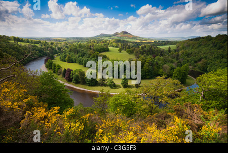 Scotts View in der schottischen Grenzen Stockfoto