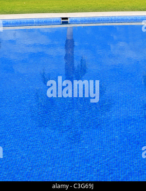 blaue Fliesen Schwimmbad mit Palm Tree Reflexion Sommer Hintergrund Stockfoto