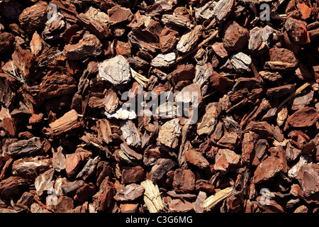 Rinde braun Baumstamm Muster Textur verwendet als Boden im Garten Deko Stockfoto