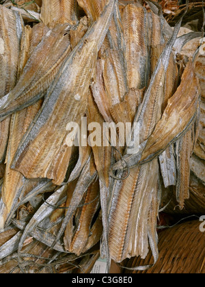 Fischen am Vizhingam Hafen, zum Trocknen Trivandrum, Kerala, Indien Stockfoto