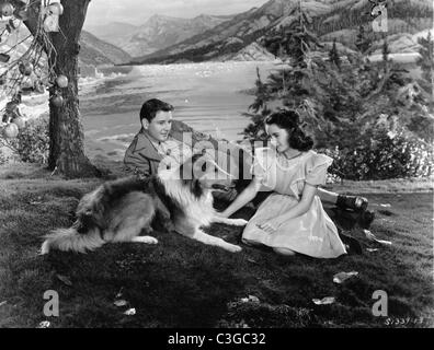 Mut von Lassie Jahr: 1946 USA Elizabeth Taylor (Liz Taylor), Tom Drake Regie: Fred M. Wilcox Stockfoto