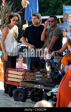 Laurence Fishburne und Gina Torres Einkaufen auf dem Kürbisfeld. West Hollywood, Kalifornien - 17.10.09 Stockfoto