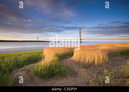 Die Humber-Brücke zwischen North Lincolnshire und East Yorkshire, fotografiert vom südlichen Ufer an einem Frühlingsabend Stockfoto