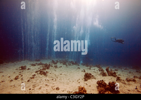 Ein Taucher schwimmt durch einen Vorhang aus Luftblasen in den Canyon. Rotes Meer, Dahab, Ägypten Stockfoto