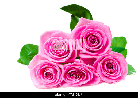 Rosenstrauß schöne rosa auf weiß Stockfoto