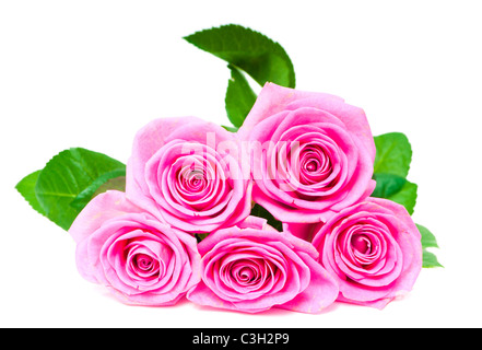 Rosenstrauß schöne rosa auf weiß Stockfoto