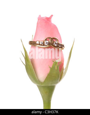 Rose und ring Stockfoto