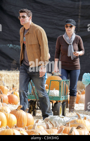 Besuchen Sie Bones' star David Boreanaz, seine Frau Jaime Bergman, und