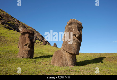 Moais am Rano Raraku Hügel, Osterinsel. Stockfoto