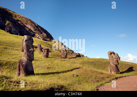 Moais am Hang am Rano Raraku, Osterinsel. Stockfoto