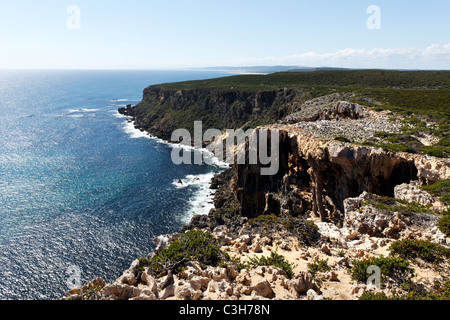 Kalkstein Klippen Südpolarmeer D'Entrecasteaux National Park Stockfoto