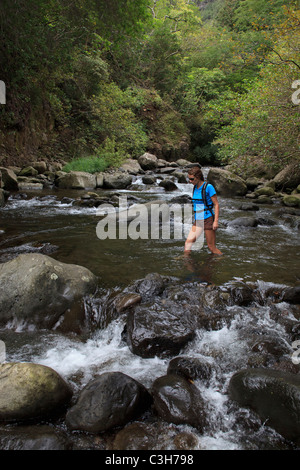 Kreuzung Iao Valley Stream, Maui, Hawaii. Stockfoto