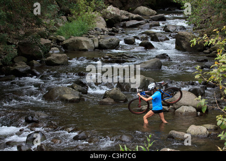 Frau überqueren Iao Valley Stream, Maui, Hawaii mit dem Mountainbike. Stockfoto