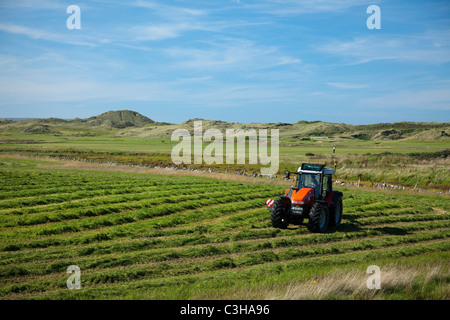 Traktor in einem Feld schneiden Silage, Enniscrone, County Sligo, Irland. Stockfoto