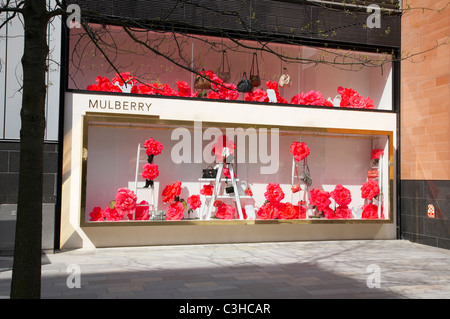 Maulbeere-Schaufenster im Spinningfields Manchester UK Stockfoto