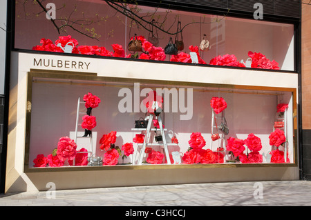 Maulbeere-Schaufenster im Spinningfields Manchester UK Stockfoto