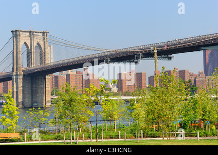 Bäume im Brooklyn Bridge Park gegen die Brooklyn Bridge in New York City gegenübergestellt. Stockfoto