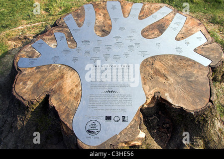 Die Geschichte Baum, Zentrum der Mauren, Danby, Whitby, North Yorkshire, England, UK Stockfoto