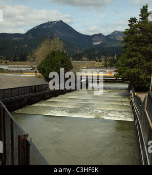 Fischtreppen in der Bonneville dam am Columbia River, vorbei an künstlichen Dämme stromaufwärts schwimmen Fische sollen Stockfoto