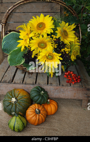 Herbstliche Ernte Obst noch mit Sonnenblumen und Kürbisse Stockfoto