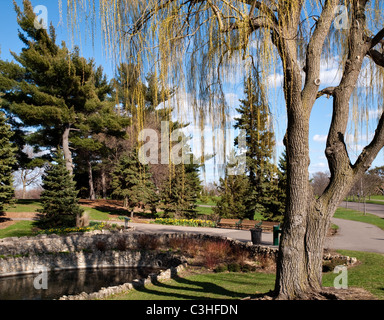 an das Reflexionsbecken unmittelbar östlich der McNeely Konservatorium in Como Park Mai St. Paul, MN, USA, 2011 Stockfoto