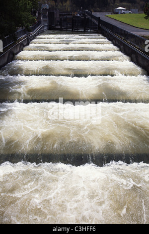 Fischtreppen in der Bonneville dam am Columbia River, vorbei an künstlichen Dämme stromaufwärts schwimmen Fische sollen Stockfoto