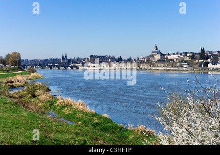 Blick auf die Altstadt vom über der Loire im Frühjahr, Blois, Val de Loire, Touraine, Frankreich Stockfoto