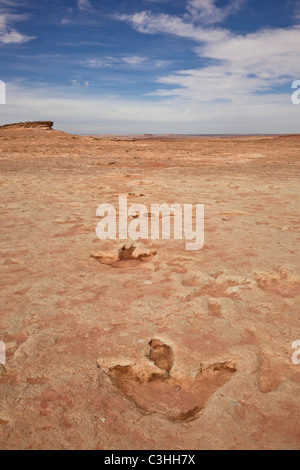 Frühen Jura Therapod Spuren, Fleischfresser Dilophosaurus Wetherilli bei Moenkopi Dinosaurier-Spuren in der Nähe von Tuba City, Arizona, USA. Stockfoto