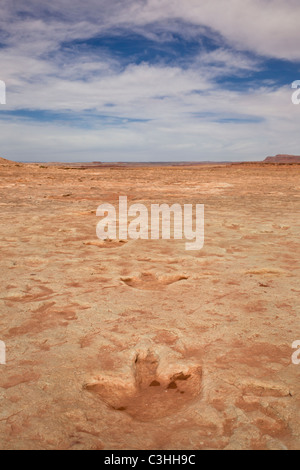 Frühen Jura Therapod Spuren, Fleischfresser Dilophosaurus Wetherilli bei Moenkopi Dinosaurier-Spuren in der Nähe von Tuba City, Arizona, USA. Stockfoto