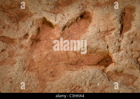 Frühen Jura Therapod Spuren, Fleischfresser Dilophosaurus Wetherilli bei Moenkopi Dinosaurier-Spuren in der Nähe von Tuba City, Arizona, USA. Stockfoto