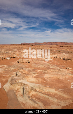 Frühen Jura Dinosaurier Skelett, Fleischfresser Dilophosaurus Wetherilli, bei Moenkopi Dinosaurier-Spuren in der Nähe von Tuba City, Arizona, USA. Stockfoto