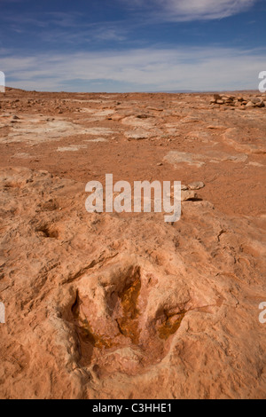 Frühen Jura Therapod Spuren, Fleischfresser Dilophosaurus Wetherilli bei Moenkopi Dinosaurier-Spuren in der Nähe von Tuba City, Arizona, USA. Stockfoto