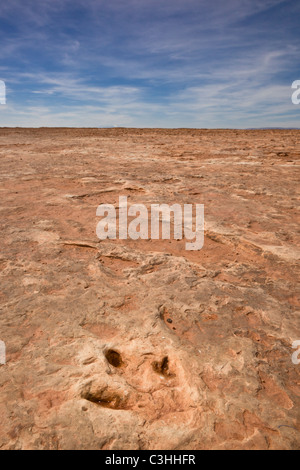 Frühen Jura Therapod Spuren, Fleischfresser Dilophosaurus Wetherilli bei Moenkopi Dinosaurier-Spuren in der Nähe von Tuba City, Arizona, USA. Stockfoto