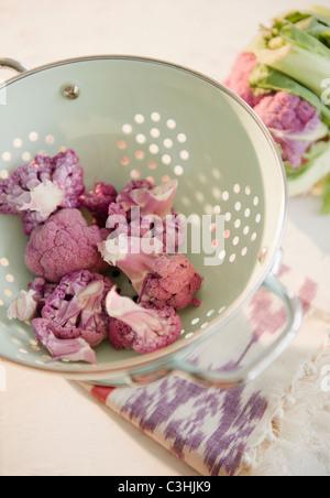 Studioaufnahme von Blumenkohl in Sieb Stockfoto