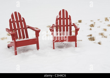 Zwei Adirondack Stühle im Schnee Stockfoto