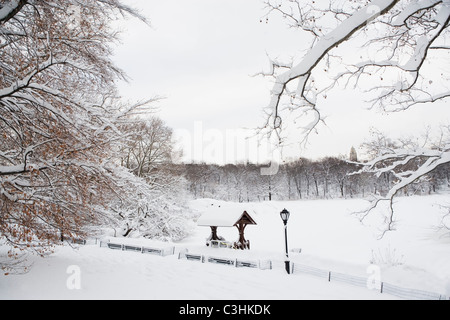 USA, New York City, Central Park im winter Stockfoto