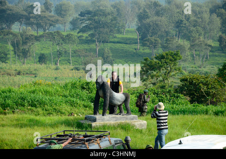 Rund 250 stark bedrohten östlichen Flachlandgorillas sind auf der Erde zurückgelassen. Chimanuka und seine 36 Familienmitglieder leben in Kahuzi Biega Stockfoto