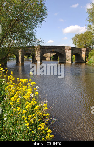 Fluss Avon und Bilovec Brücke, Worcestershire, England, UK Stockfoto