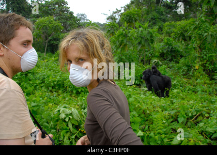 Gorilla trekking am Buhimo im Virunga Nationalpark, demokratische Republik Kongo. Masken schützen Affen vor Krankheiten. Stockfoto