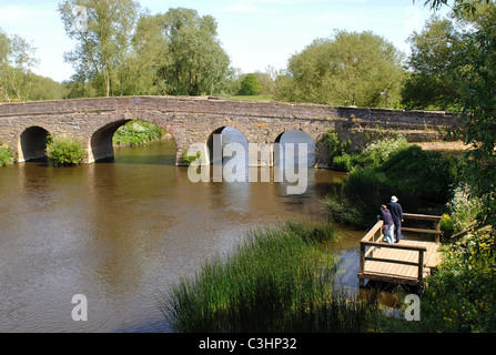 Fluss Avon und Bilovec Brücke, Worcestershire, England, UK Stockfoto