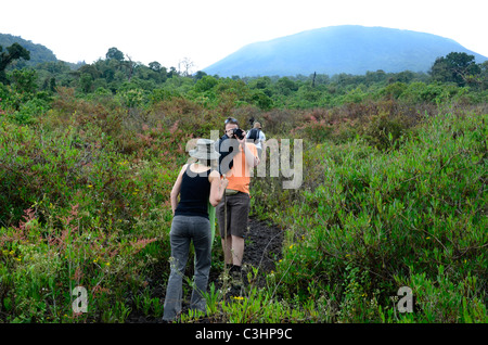 Wandern auf Nyiragongo Vulkan in der alpinen Region des Virunga Nationalparks, Osten der Demokratischen Republik Kongo. Stockfoto