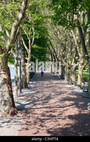 Greenwich-Promenade, Alt Tegel, Reinickendorf, Berlin, Deutschland Stockfoto