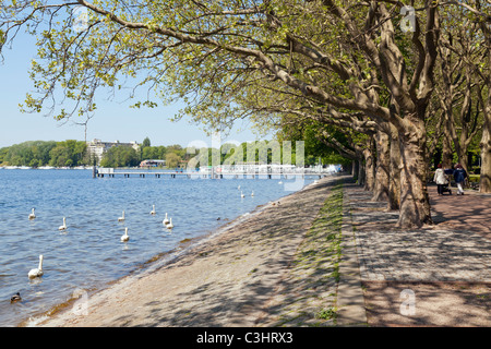 Greenwich-Promenade und Tegeler sehen, Alt Tegel, Reinickendorf, Berlin, Deutschland Stockfoto