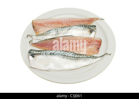 Vier rohe Makrelen Filets auf einem Teller isoliert gegen weiß Stockfoto